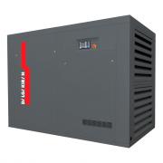 Компрессор винтовой безмасляный DALGAKIRAN Eagle-HW VS 55 ID - 9.3 бар